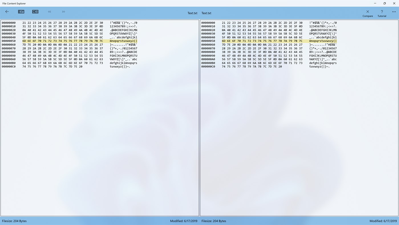 #5. File Content Explorer (Windows) Door: GuPaSoft