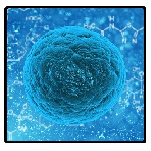 Pharmacology - Full Study Questions & Answers - Ninja Flashcards 10.0