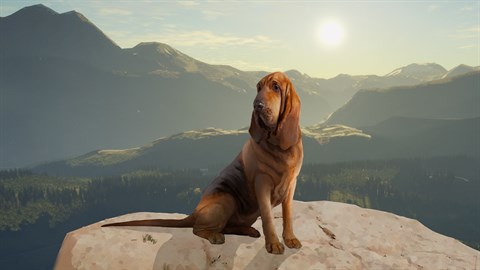 Buy Thehunter Call Of The Wild Gold Bundle Windows 10 Xbox