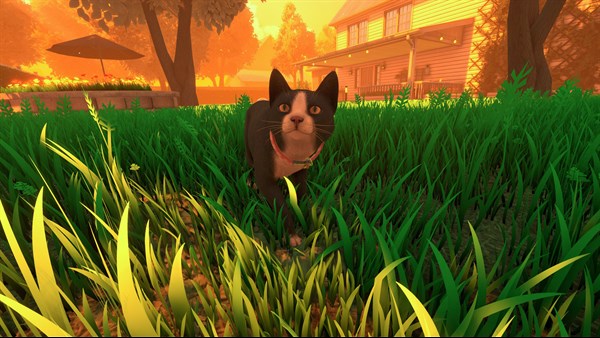Copycat Demo — 5