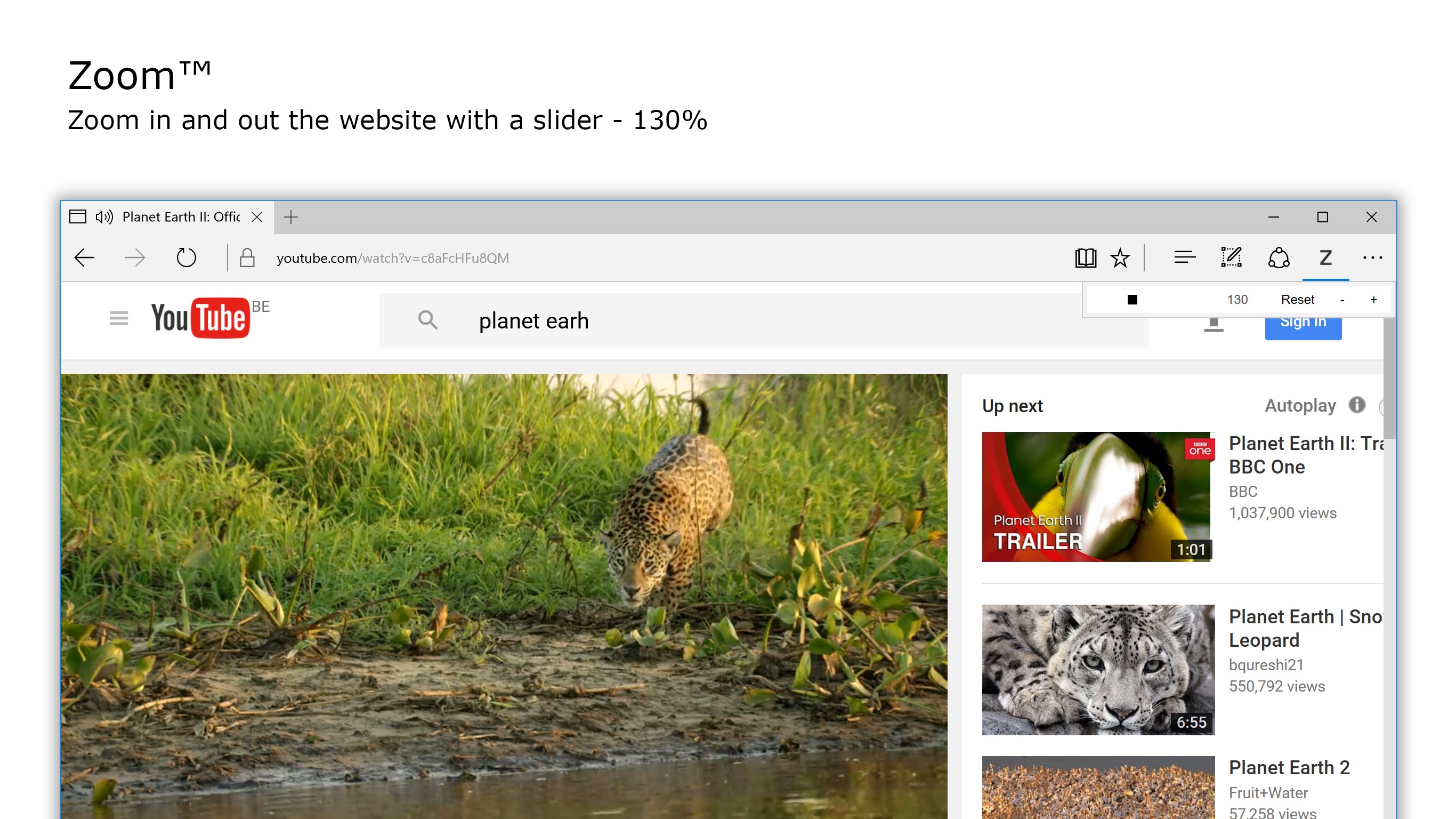 Zoom for Microsoft Edge for Windows 10