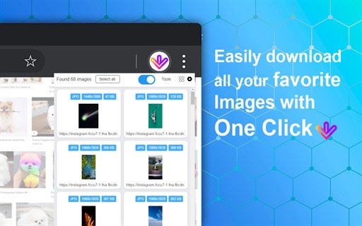 Image Downloader - Easy Bulk Image Download Tool
