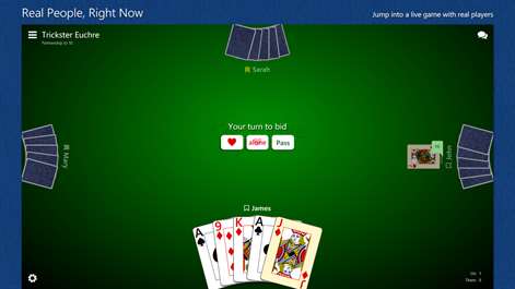 Trickster Euchre Screenshots 1