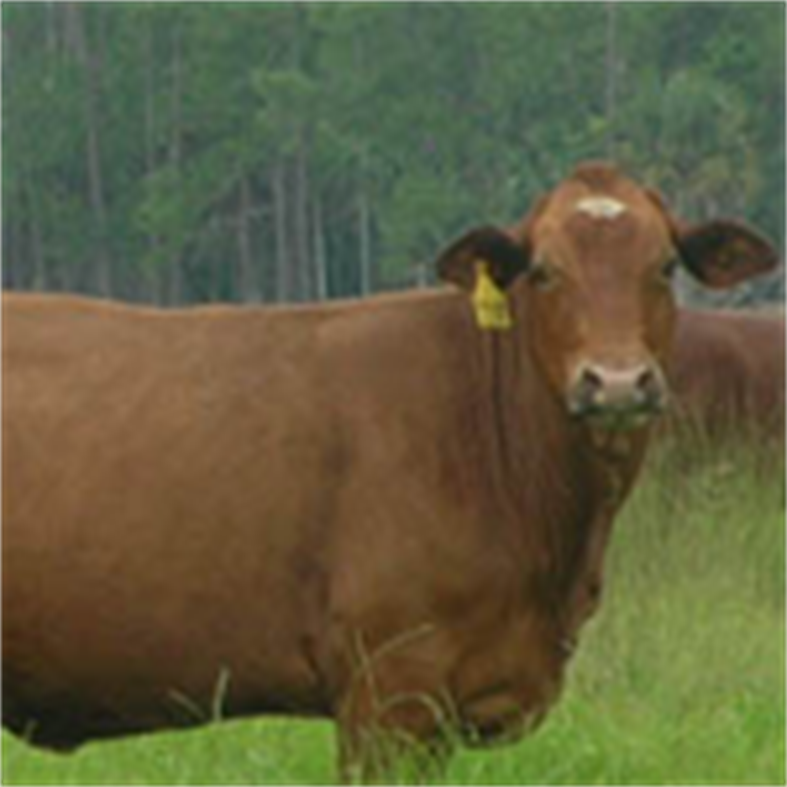 #1. EIDReader (Windows) Podle: CT Reader