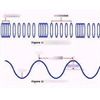 Transverse and Longitudinal Waves