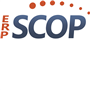 ERP SCOP 2020 icon