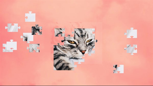 Jigsaw Puzzle Cats — 6