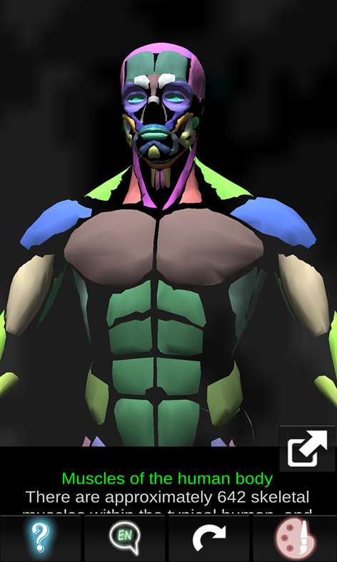 Muscular System 3D (Anatomy) Screenshots 1