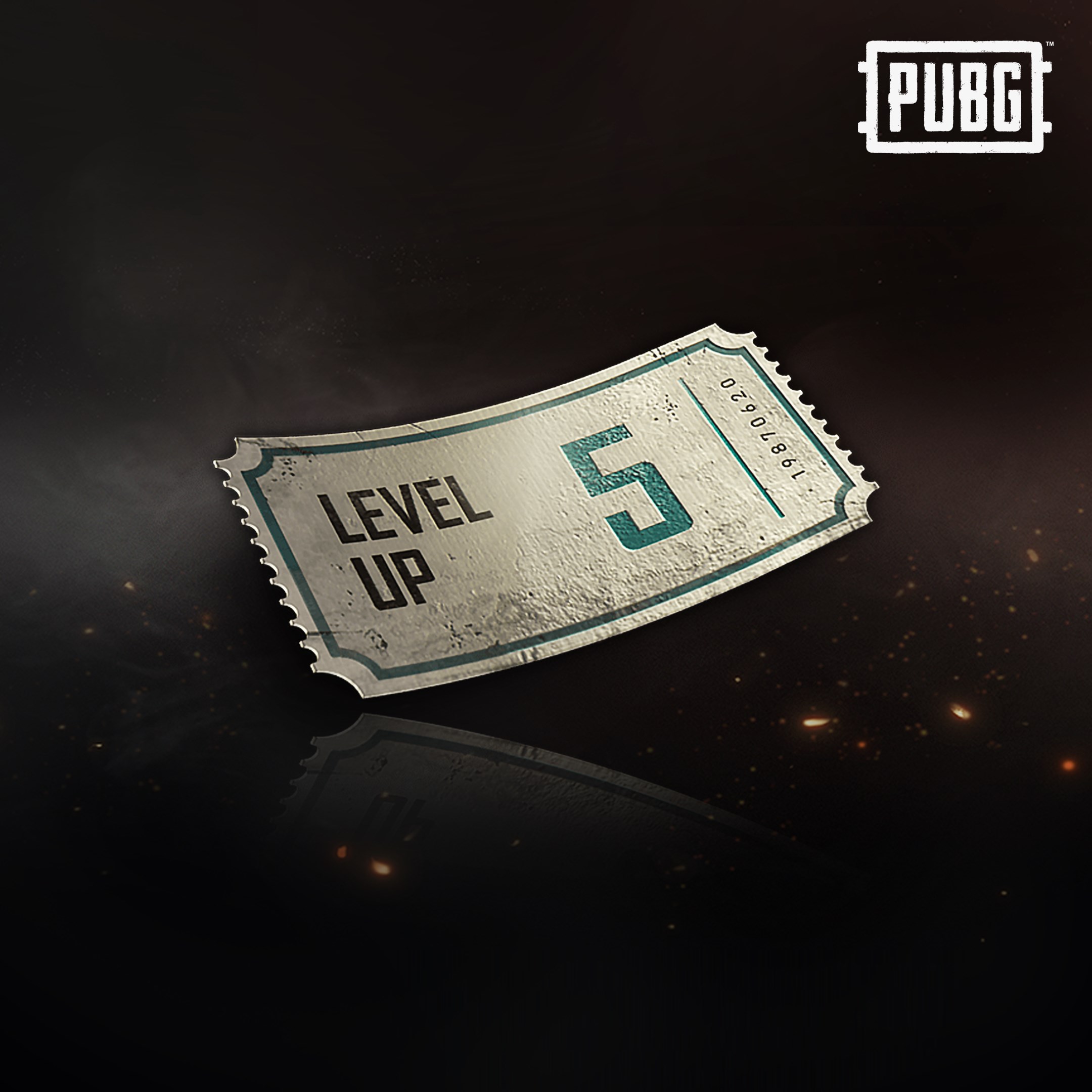PUBG Survivor Pass - 5 Levels
