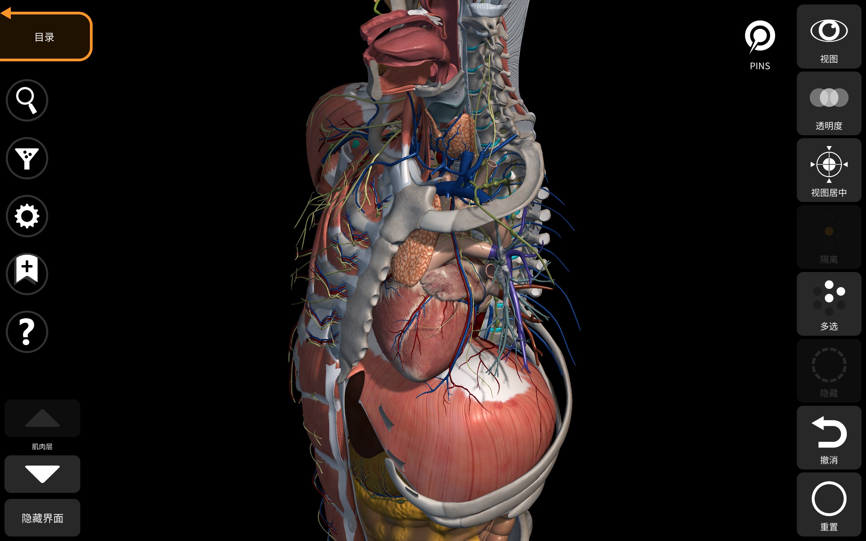 解剖学- 三维图谱- Anatomy 3D Atlas - Windows官方下载| 微软应用商店