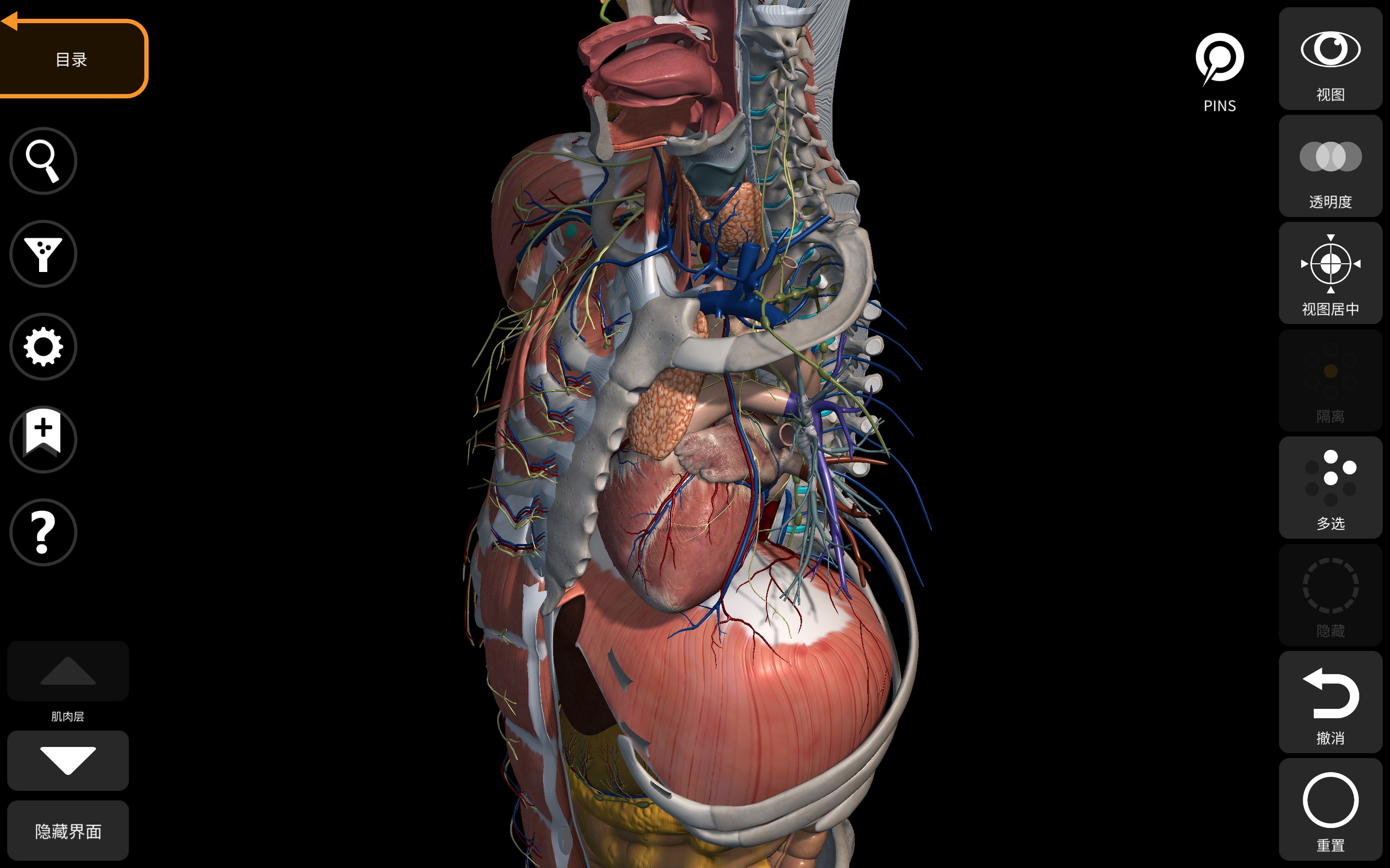 解剖学- 三维图谱- Anatomy 3D Atlas - Microsoft Apps