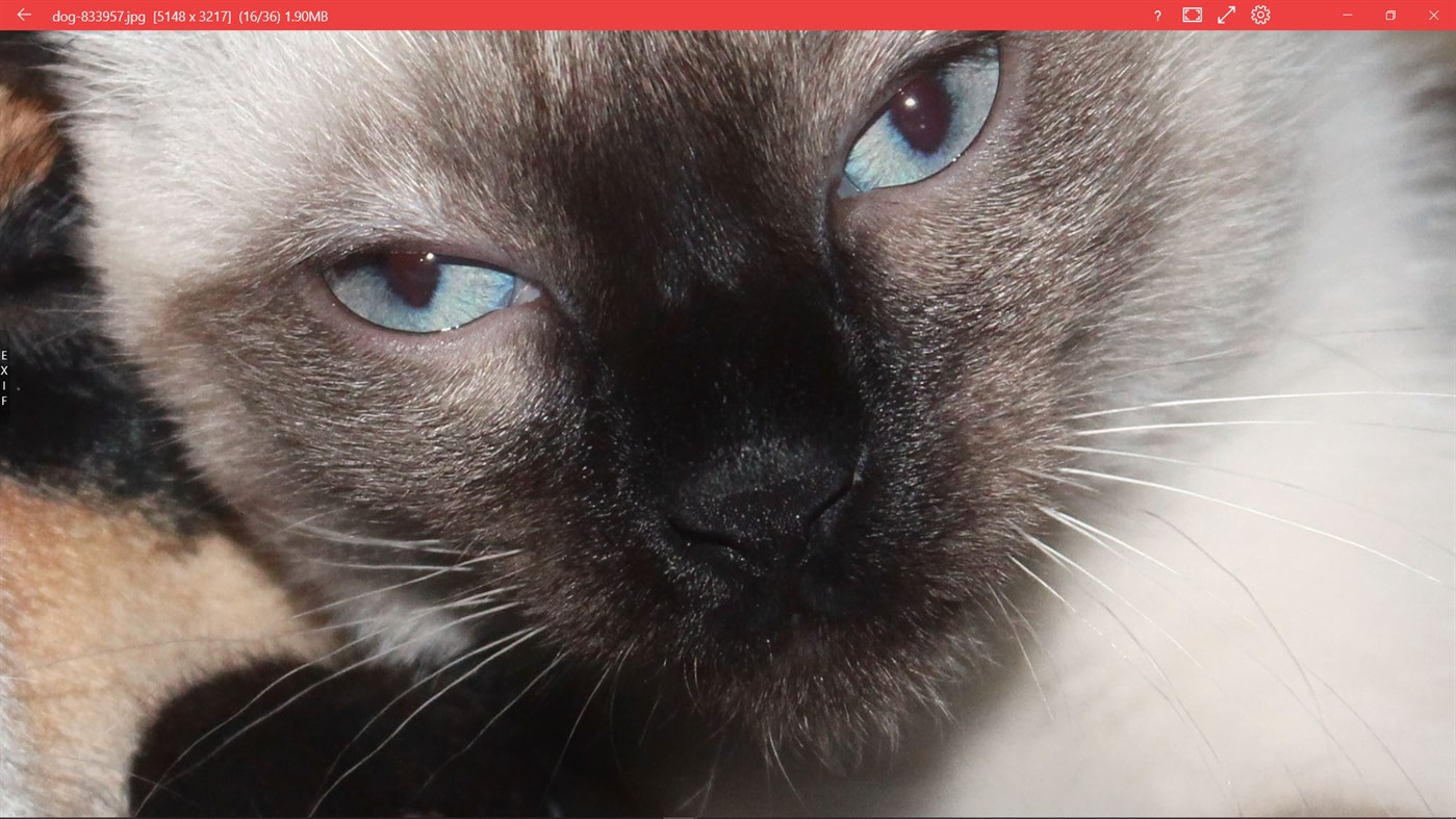 #5. 123 Photos: View, Edit & Convert (Windows) Von: dreamoji.com