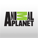 Animal Planet
