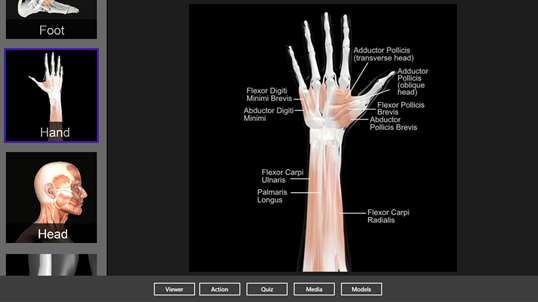 Muscle and Bone Anatomy 3D screenshot 4