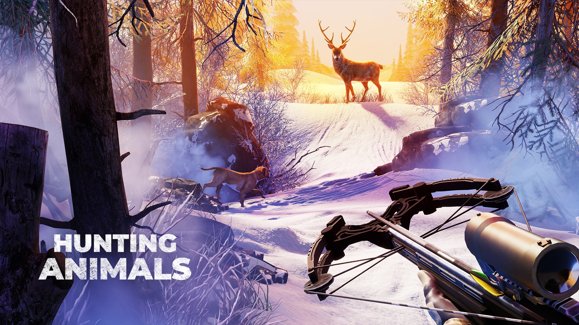 Get Hunting Animals 3D