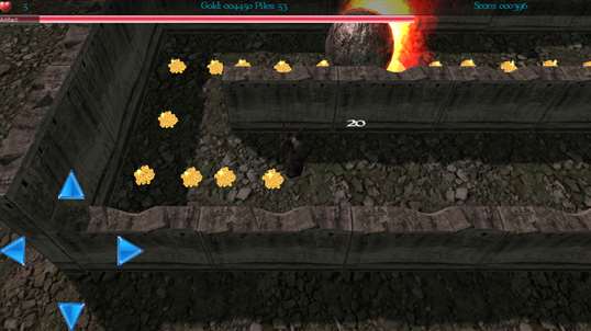 DungeonMan screenshot 3