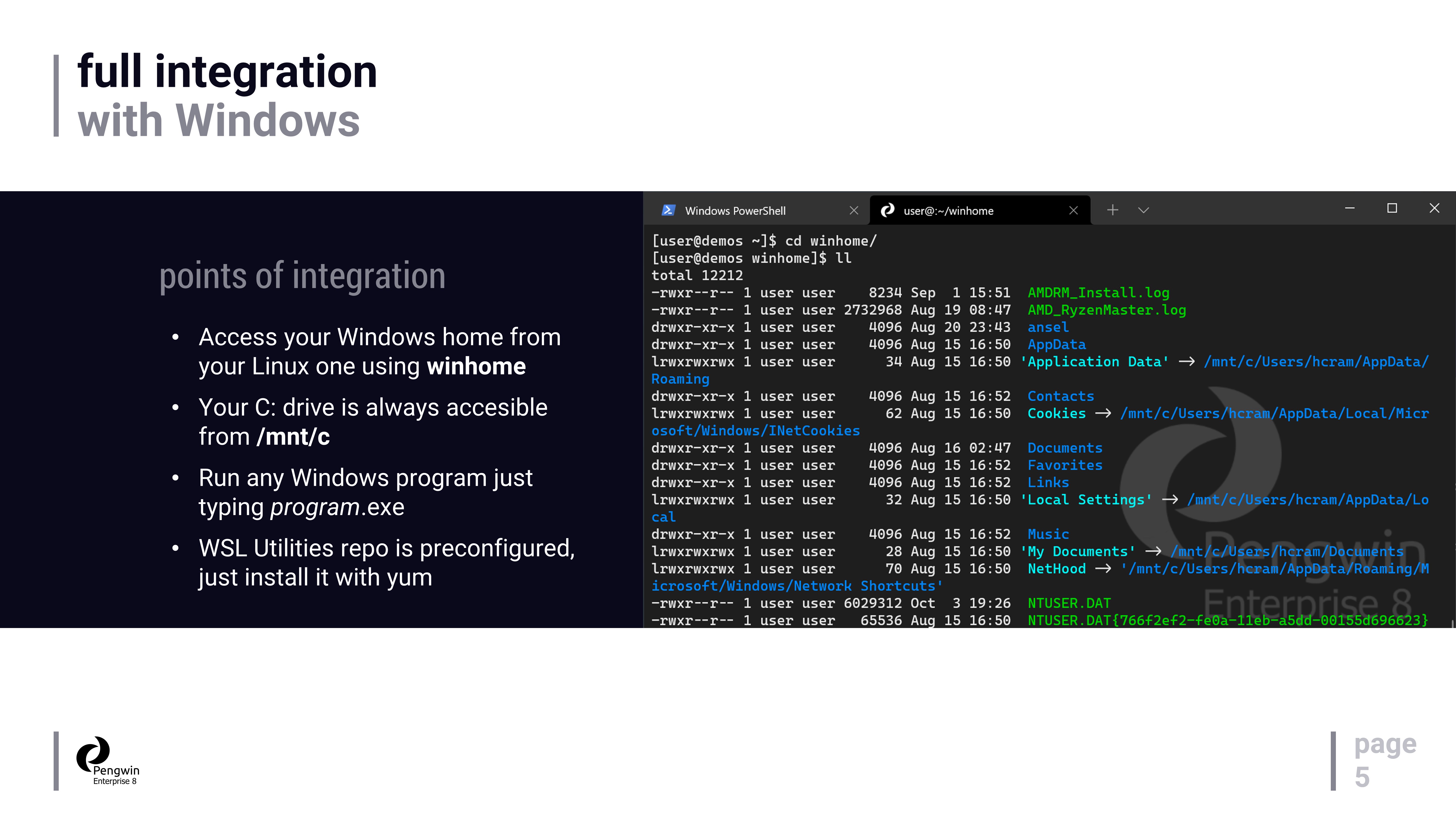 Pengwin Enterprise Download and install on Windows Microsoft