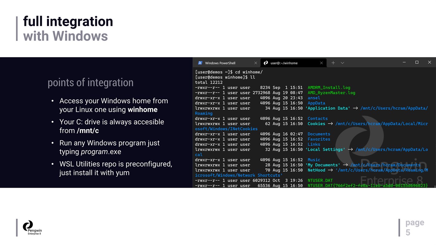 #5. Pengwin Enterprise 8 (Windows) От: Whitewater Foundry