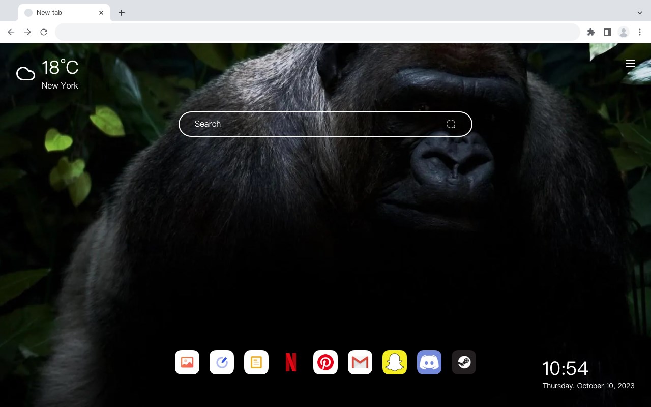 Gorilla Wallpaper HD HomePage