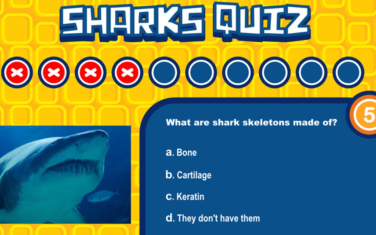 Sharks Quiz Game - Test Your Knowledge