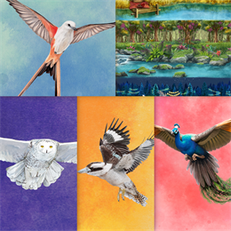 Aperçu Wingspan + Europe + Océanie + Asia + Packs Décoratifs