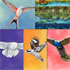 Wingspan + Europe + Océanie + Asia + Packs Décoratifs