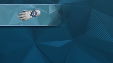 F1® 2019: Gloves 'Altitude'