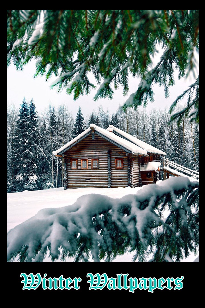 Winter Wallpapers