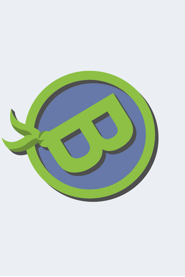 VPN BUDDY