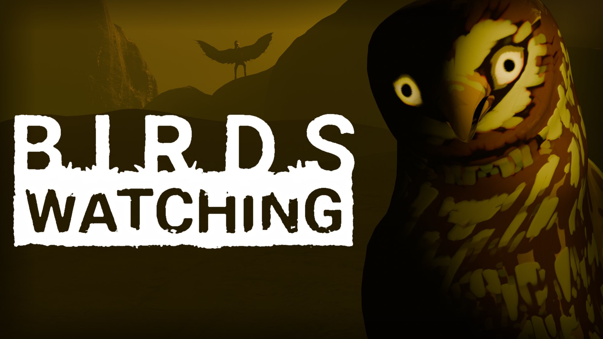 Birds Watching