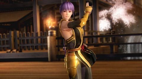 Golden ninja hot sale costume