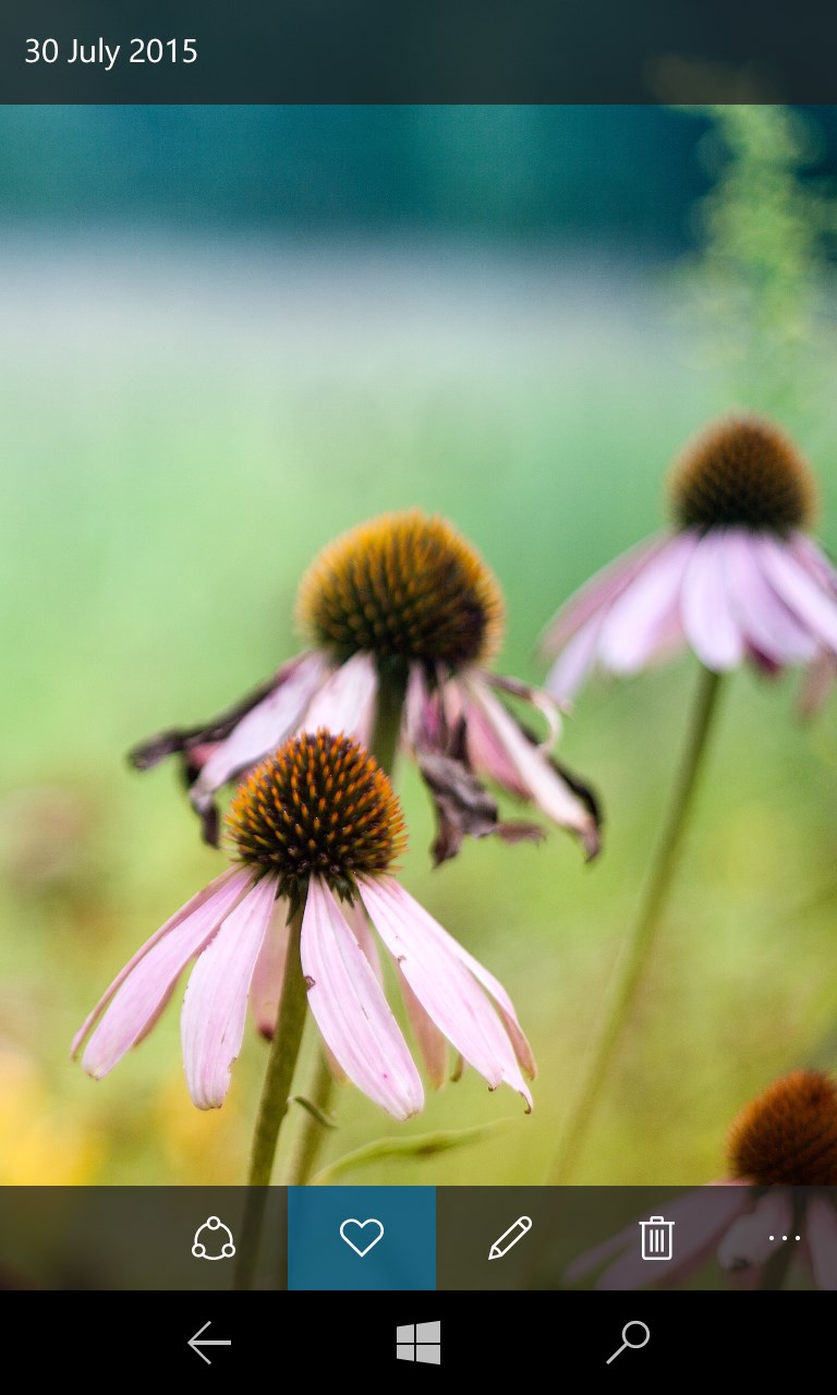 The best place to view your photos