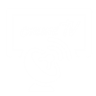 Online TV for Windows Devices
