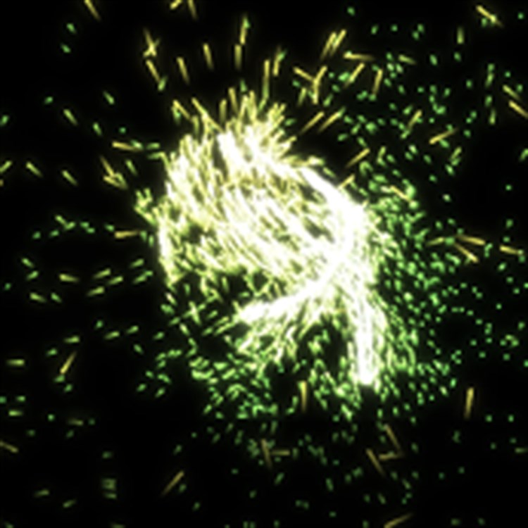 Performance particles. Performance particles
