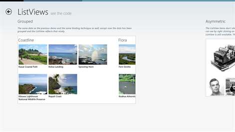 codeShow JavaScript Screenshots 1