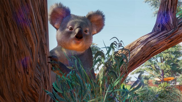 Planet Zoo: Australia & South America bundle screenshot 1