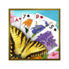 Summertime Solitaire