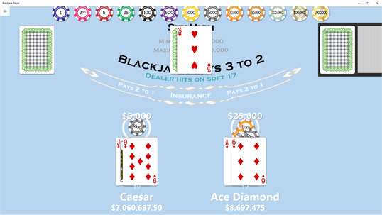 Blackjack Player screenshot 2