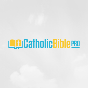 CatholicBiblePro