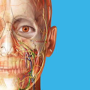Atlas de anatomía humana 2024: Cuerpo humano completo en 3D