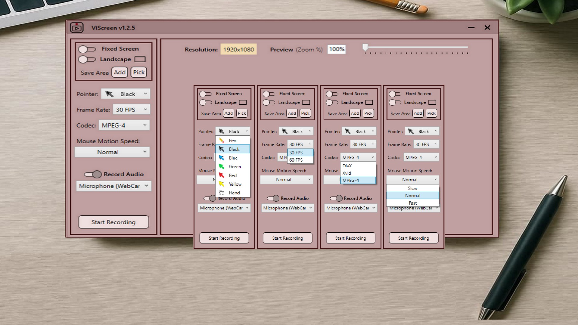 ViScreen on Windows with audio capture options selected, recording the screen together with system sound and microphone input.