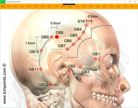 Acupuncture Assistant screenshot 4
