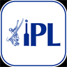 IPL Cricket Action
