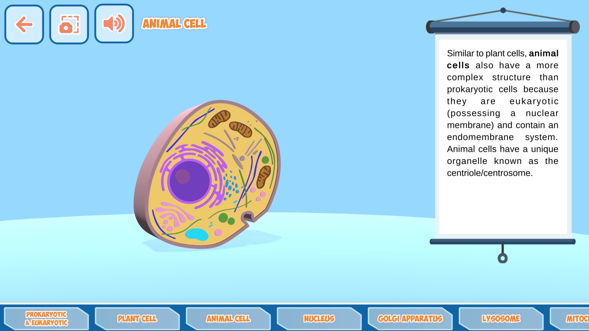 Cell Biology: Structure & Functions screenshot