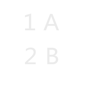 1A2B 猜数字