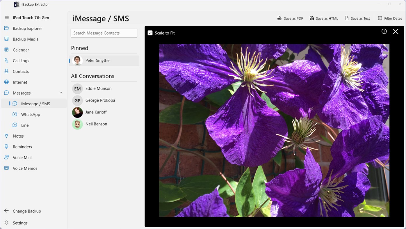 #3. iBackup Extractor (Windows) By: Wide Angle Software Ltd