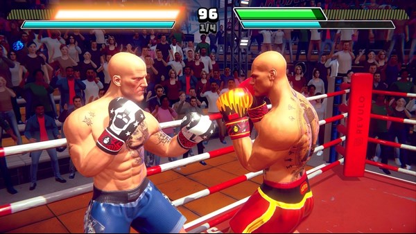 Casual Sport Series: Boxing screenshot