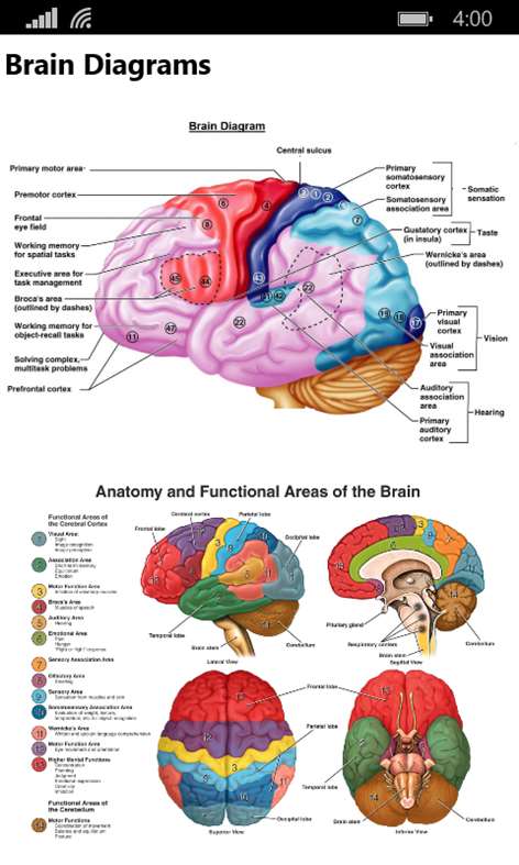 Human Anatomy 2017 Screenshots 1