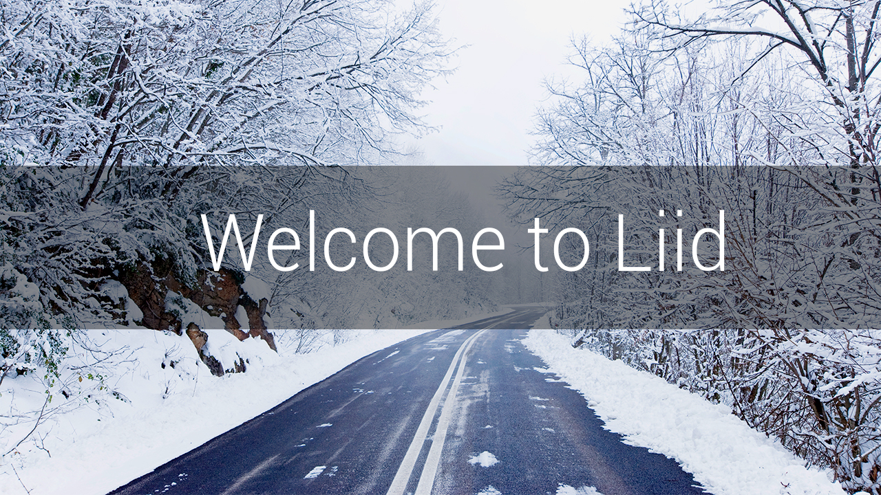 Snapshot 1 of LiiD for Dynamics CRM