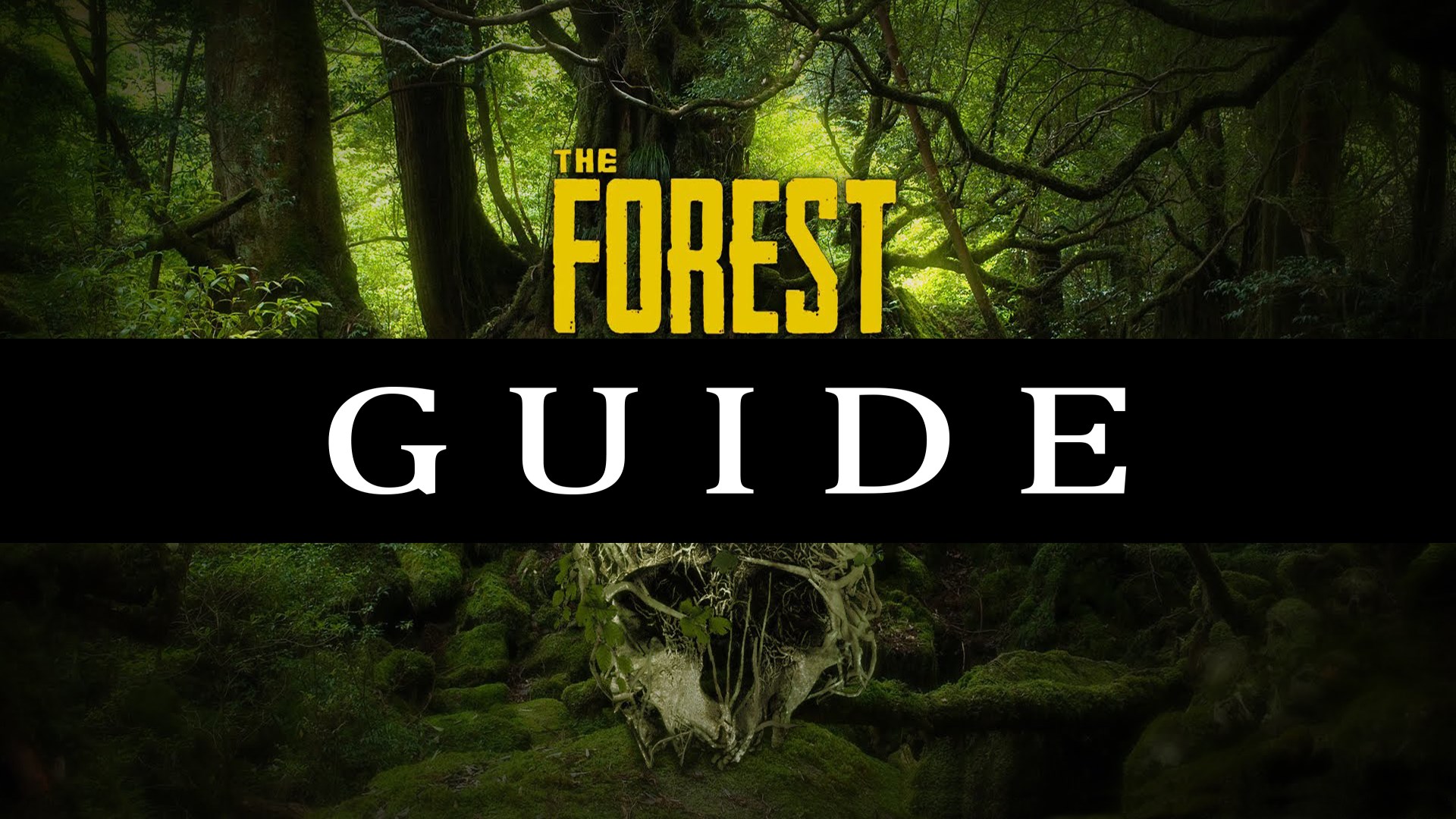 the forest xbox store